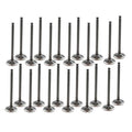 Exhaust / Intake Valve Kit 1992-1997 Acura,Honda,Isuzu 3.2L