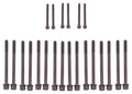 Cylinder Head Gasket set with Head Bolt Kit 1992-1995 Honda,Isuzu 3.2L